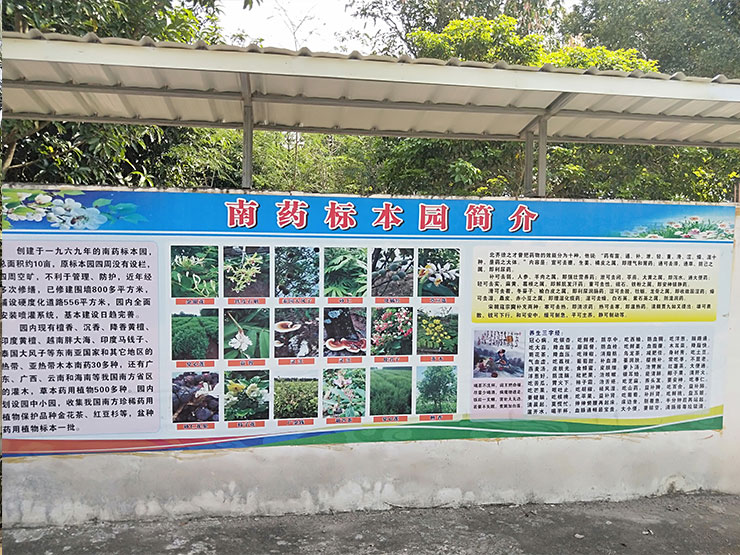1-1Z21Q10J5128 PP电子·仿照器(试玩游戏)官方网站