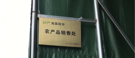 PP���ӡ�������(������Ϸ)�ٷ���վ