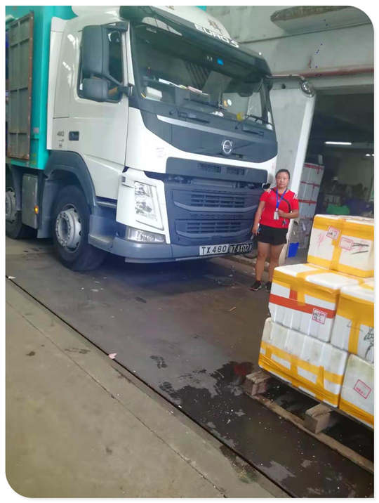 PP���ӡ�������(������Ϸ)�ٷ���վ