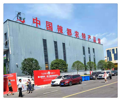 1-1ZR31046491R PP电子·仿照器(试玩游戏)官方网站